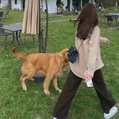 大明妖异录